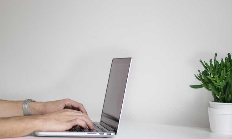 Hands typing on a laptop on a white desk beside a potted plant.